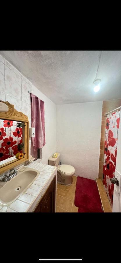 Home Sweet Home Гуанахуато Екстериор снимка